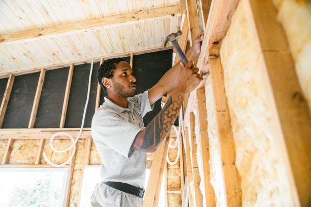 Best Insulation Removal  in Northview, MI